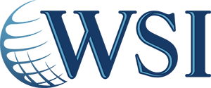 WSI-Logo-Ebiz